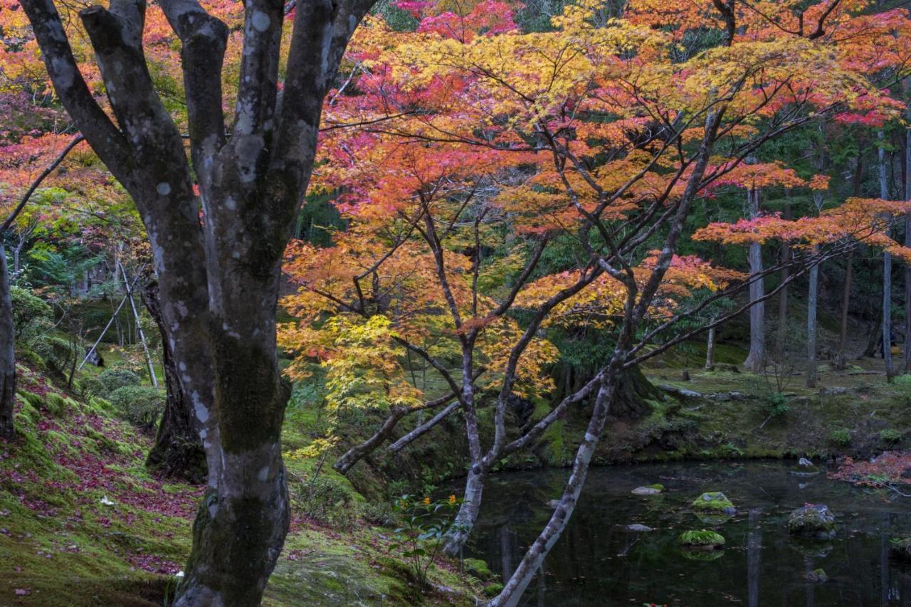 Hotel Arrows Arashiyama Kyoto Ngoại thất bức ảnh